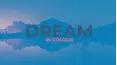 Dream In Colour