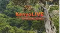 KenyaLIVE Afternoon Repeat