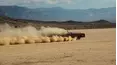 Dirt Every Day