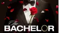 The Bachelor