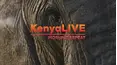 KenyaLIVE Morning Repeat