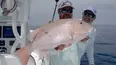 Sport Fishing TV
