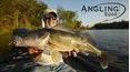 Angling Edge