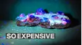 So Expensive