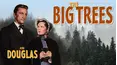 The Big Trees