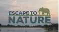 Escape To Nature