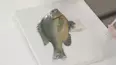 How It's Made