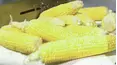 How It's Made