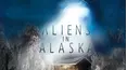 Aliens In Alaska