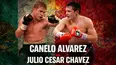 Canelo Alvarez vs. Julio Cesar Chavez Jr.