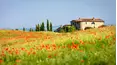 Visions of Sicily