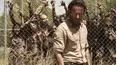 The Walking Dead