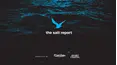 The Salt Report