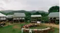 Jungletown