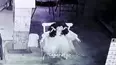 Paranormal Caught on Camera