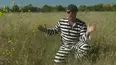 MythBusters