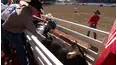 Calgary Stampede