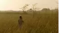The Wonder List