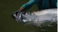 Sport Fishing TV