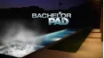 Bachelor Pad