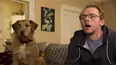Absolutely Anything