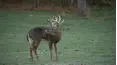 Trophy Hunters TV