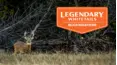 Legendary Whitetails With Buckmasters