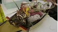 Bizarre Foods with Andrew Zimmern