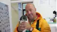 Andrew Zimmern's Bizarre World
