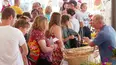 Bizarre Foods America