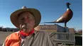 Wingshooting USA