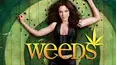 Weeds