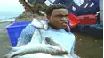 Power Rangers: Dino Thunder