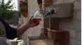 Bizarre Foods: Delicious Destinations