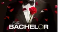 The Bachelor