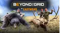Beyond the Grid