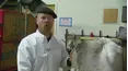 MythBusters