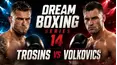 Dream Boxing Series 14: Trosins vs Volkovics