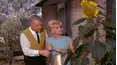 Green Acres