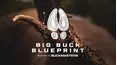 Big Buck Blue Print