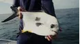 Goliath Fishing
