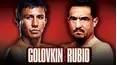 World Championship Boxing: Gennady Golovkin vs. Marco Antonio Rubio and Nonito Donaire vs. Nicholas Walters