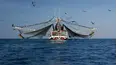 Sport Fishing TV