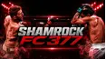 LIVE: Shamrock FC 377