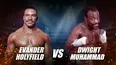 Evander Holyfield vs Dwight Muhammad Qawi