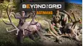 Beyond the Grid