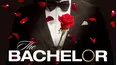The Bachelor