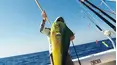 Goliath Fishing