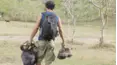 Jungletown