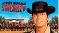 Support Your Local Sheriff!